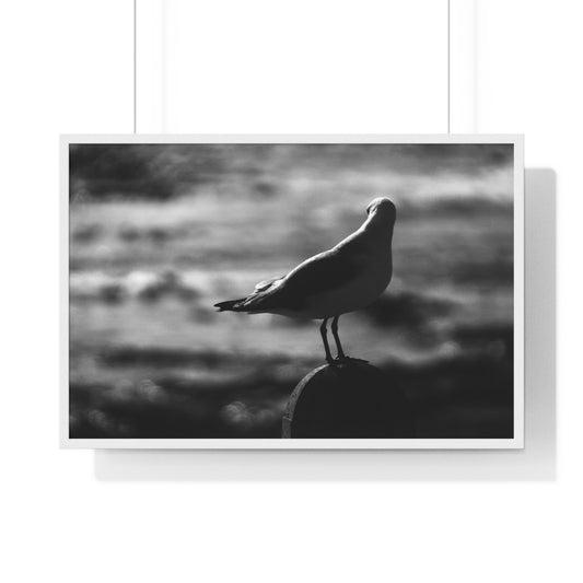 SOLITUDE - LIMITED EDITION PHOTOGRAPH