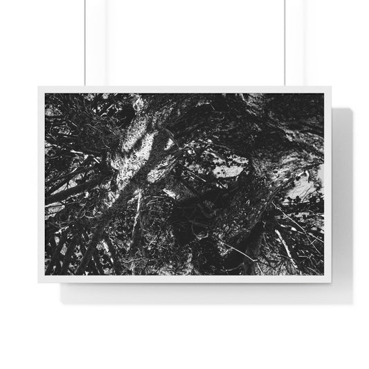IN SPACE AND TIME - LIMITED EDITION PHOTOGRAPH