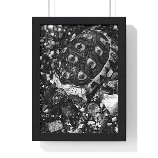 BE STILL - LIMITED EDITION PHOTOGRAPHY