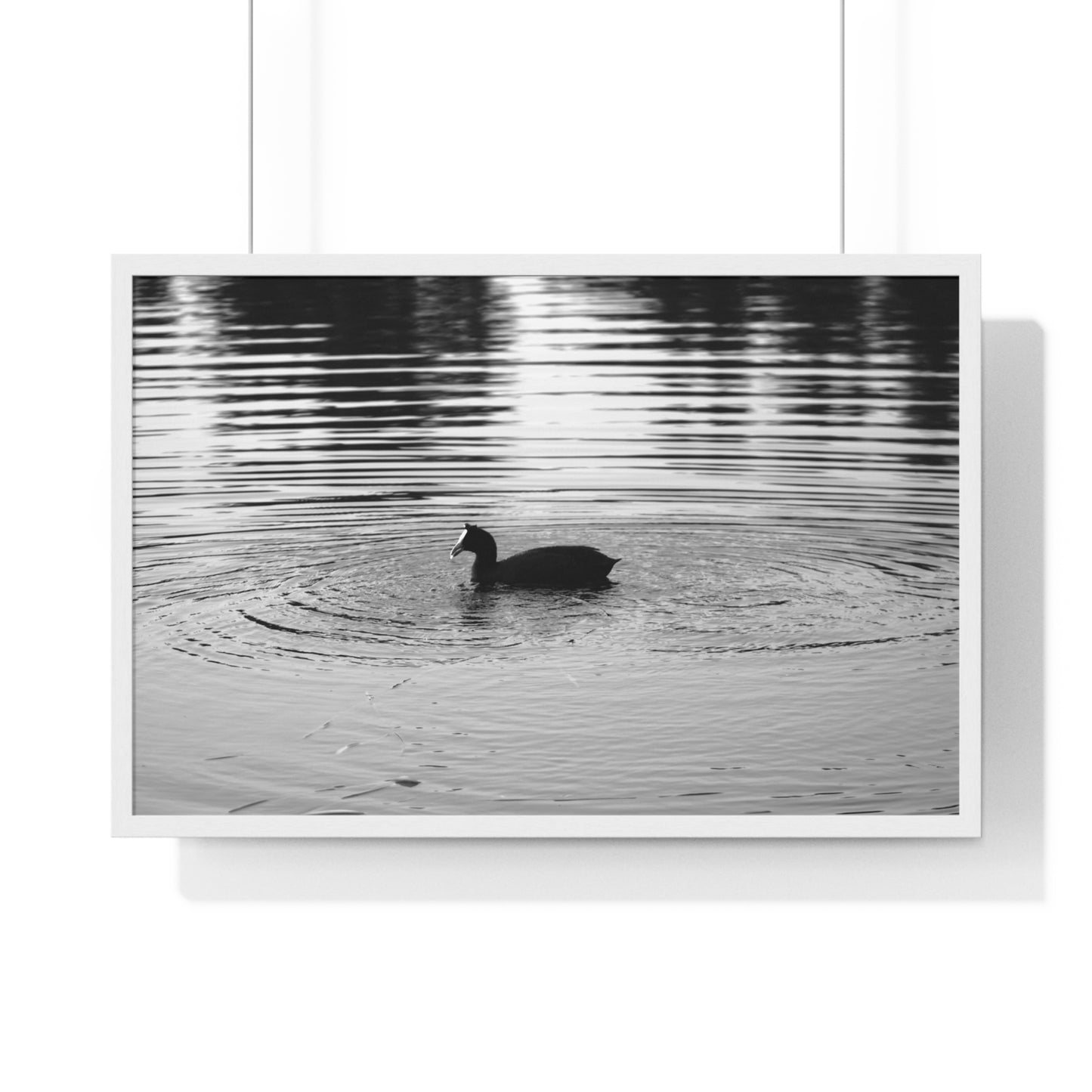 MOMENTS IN TIME - LIMITED EDITION PHOTOGRAPH