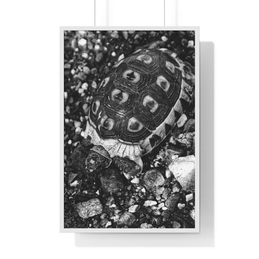 BE STILL - LIMITED EDITION PHOTOGRAPHY