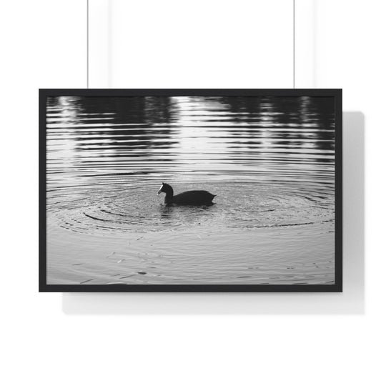 MOMENTS IN TIME - LIMITED EDITION PHOTOGRAPH
