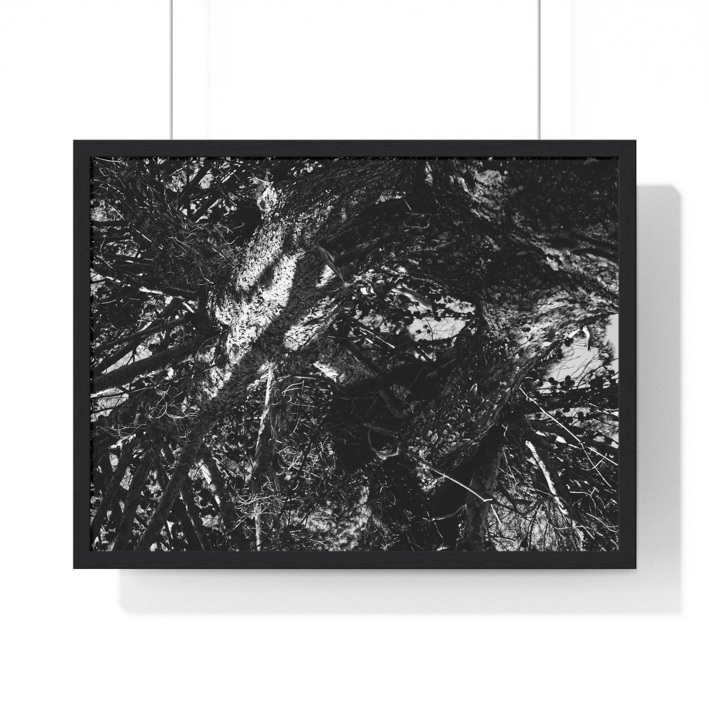 IN SPACE AND TIME - LIMITED EDITION PHOTOGRAPH