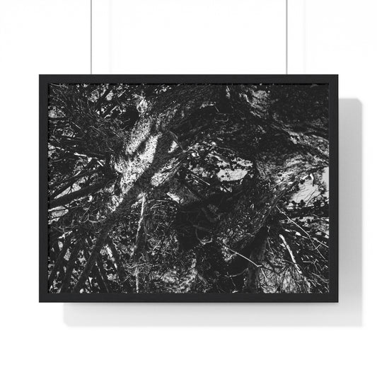 IN SPACE AND TIME - LIMITED EDITION PHOTOGRAPH